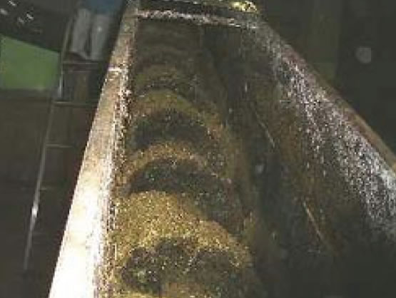 Conveying state in an inclined conveyor after the shredder is installed