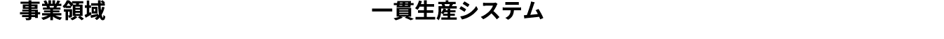 事業領域と一貫生産システム